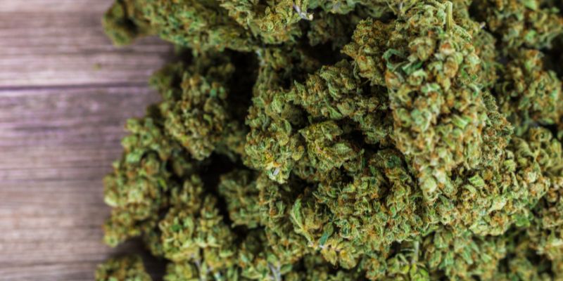 Exploring The Exotic And Rare Cannabis Strains
