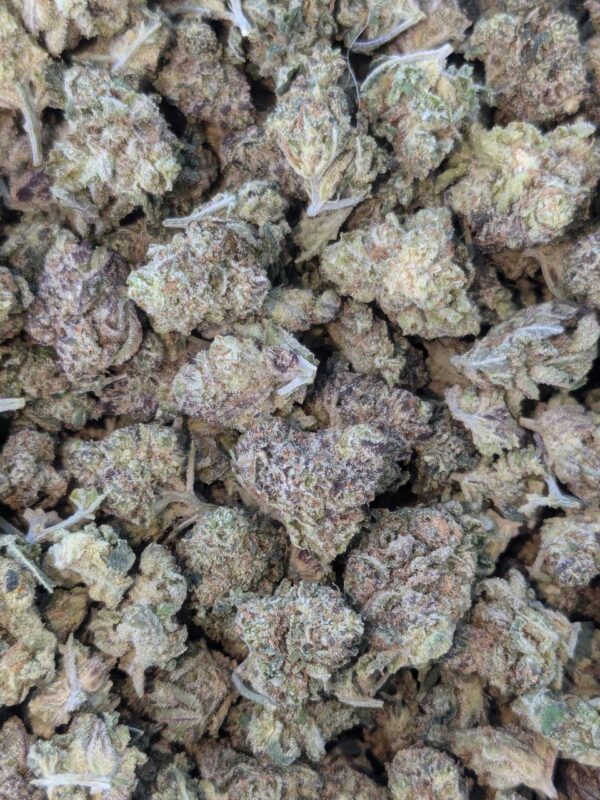 Jolly Rancher