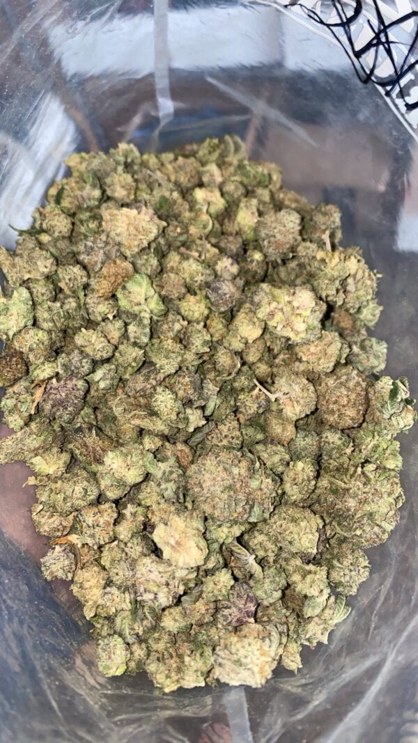 Rainbow Sherbet