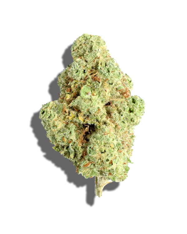 Key Lime Haze – Sativa AAAA