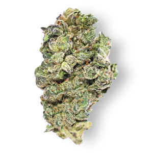Ghost Breath Mediums – Sativa/Hybrid AAAA